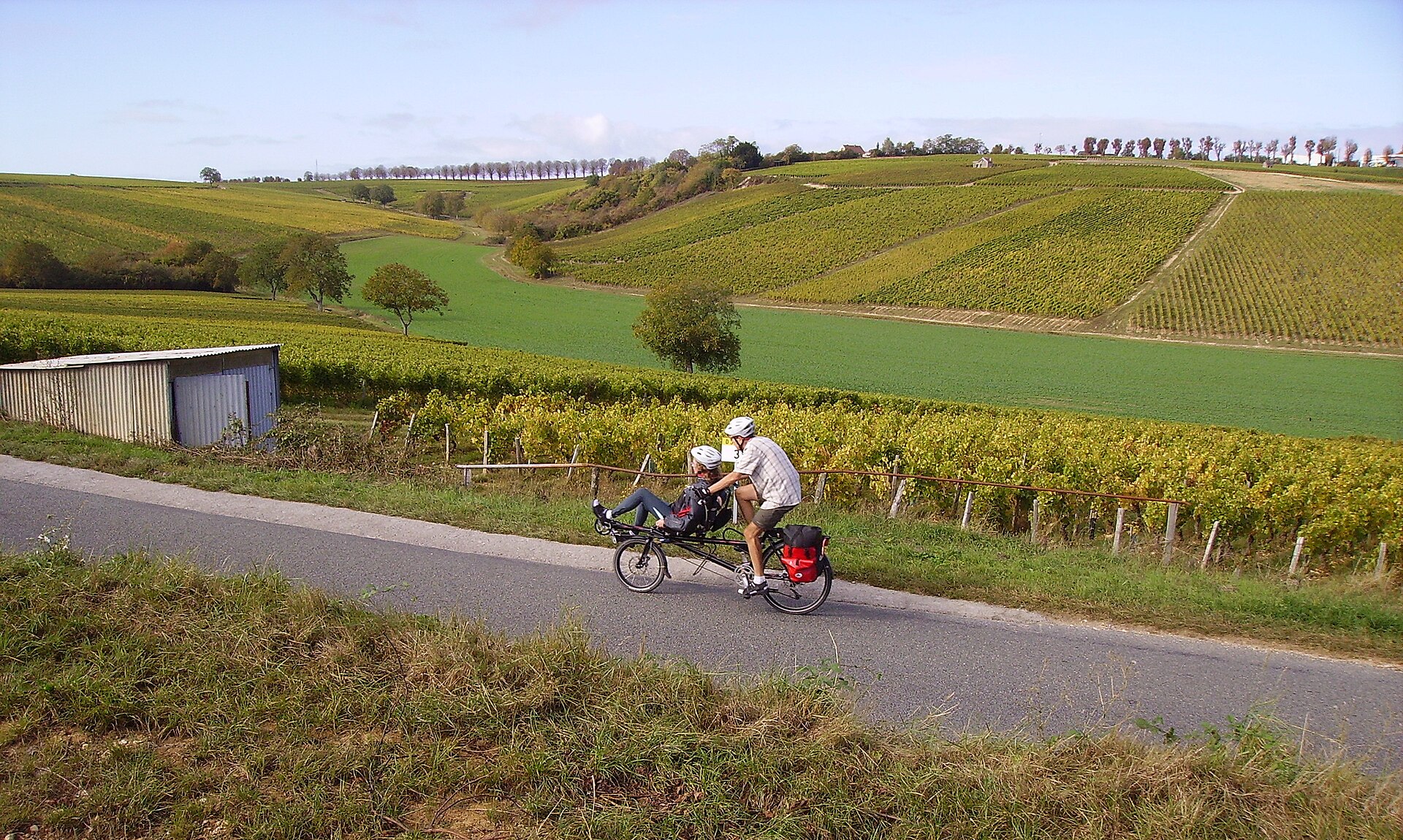 Cycle the Riesling Trail