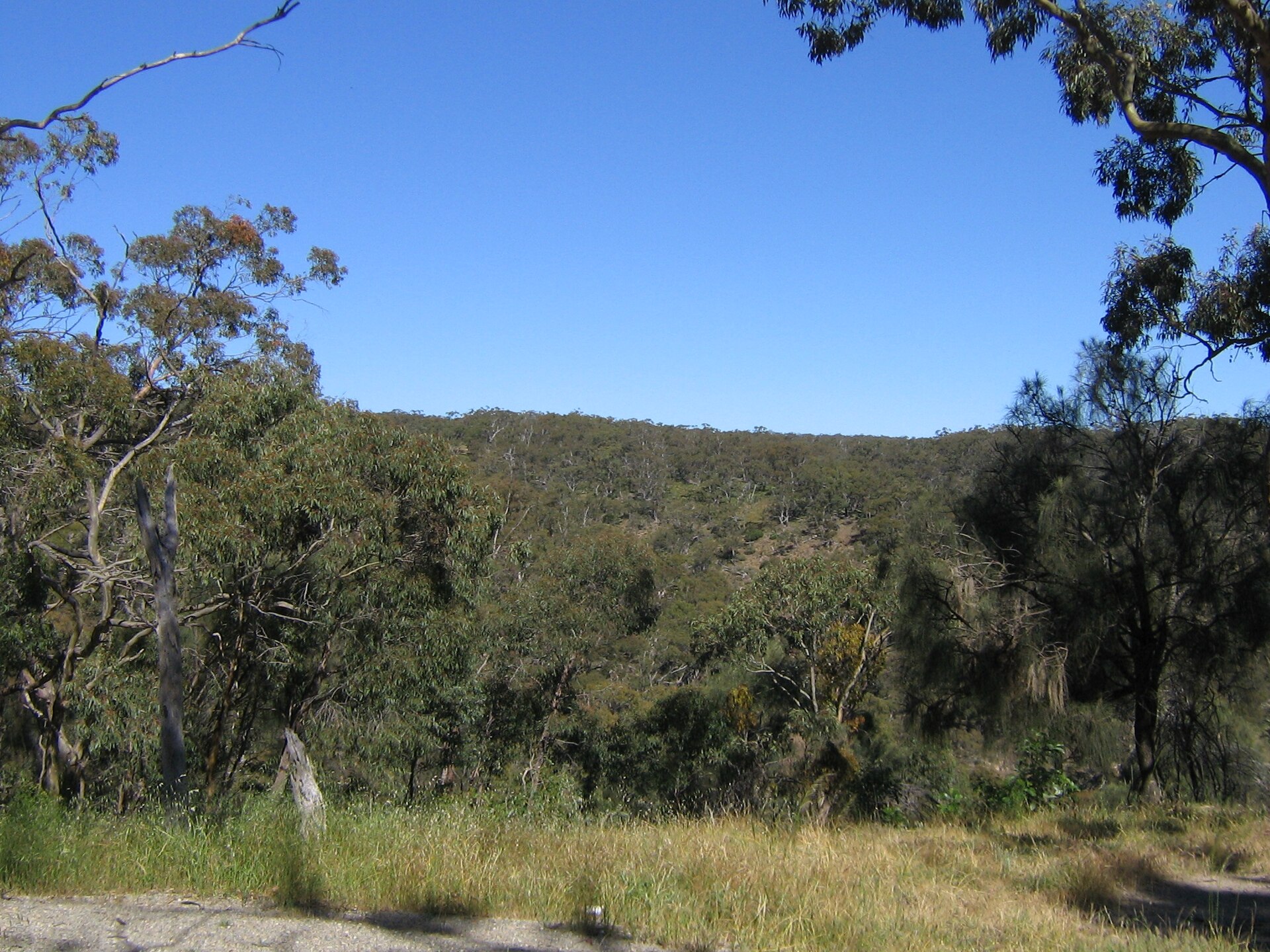 Spring Gully Conservation Park