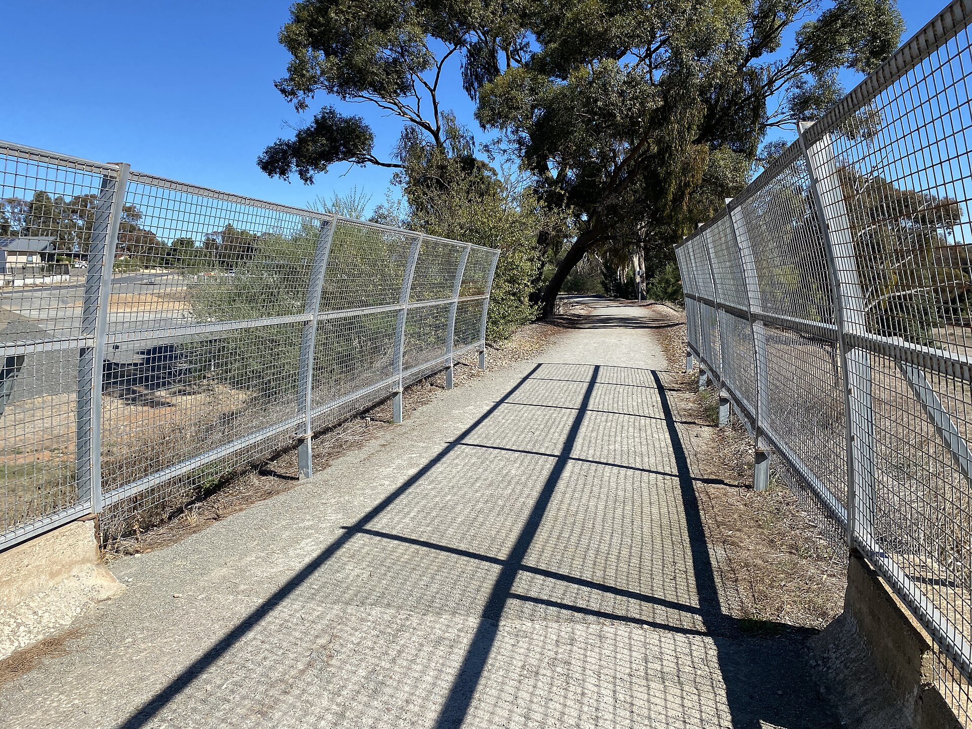 The Riesling Trail: From Railway to Cycleway