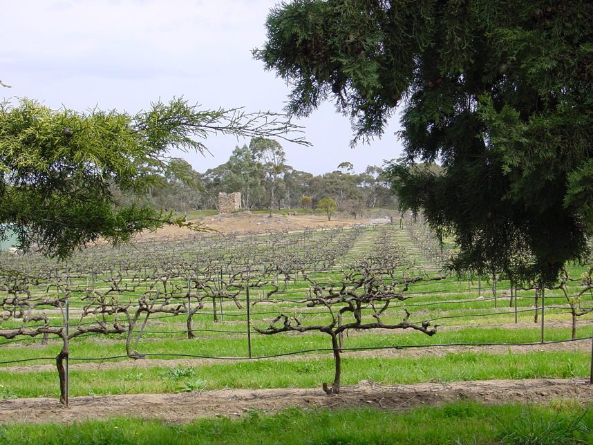 A Field Guide to Clare Valley Sub-Regions